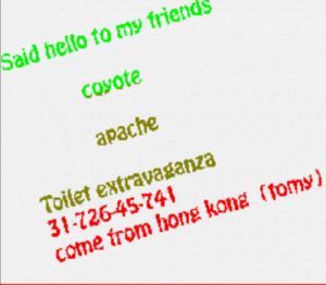 Toilet (PD) ROM