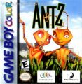 Antz Racing