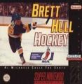 Brett Hull Hockey